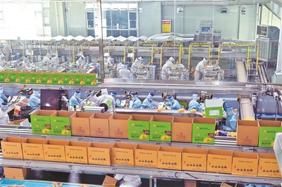 山西海玉園食品產業園有序生產，助力食品銷售穩步增長