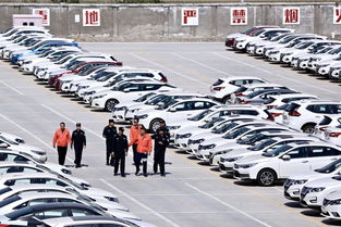 筑牢安全防火墻 消防安全檢查走進新疆最大商品汽車專業(yè)貨場