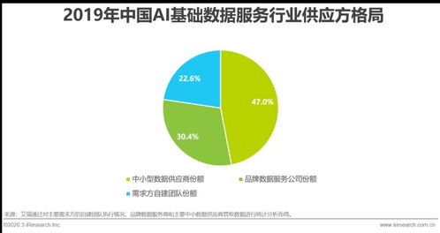 2020年中國AI基礎數據服務行業發展報告 軟件開發的賦能與革新